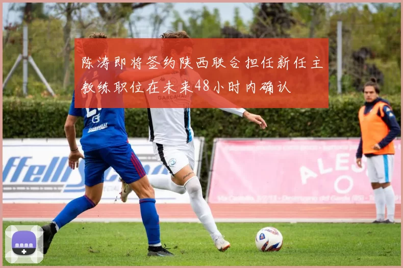 陈涛即将签约陕西联合担任新任主教练职位在未来48小时内确认